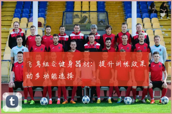 飞鸟组合健身器材：提升训练效果的多功能选择