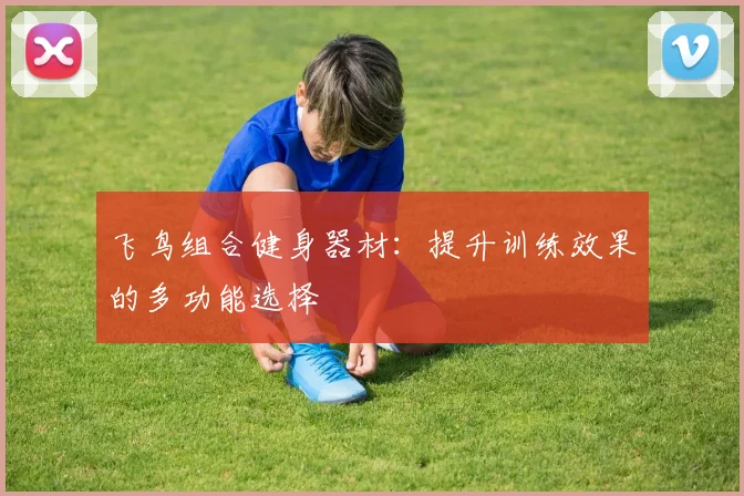 飞鸟组合健身器材：提升训练效果的多功能选择