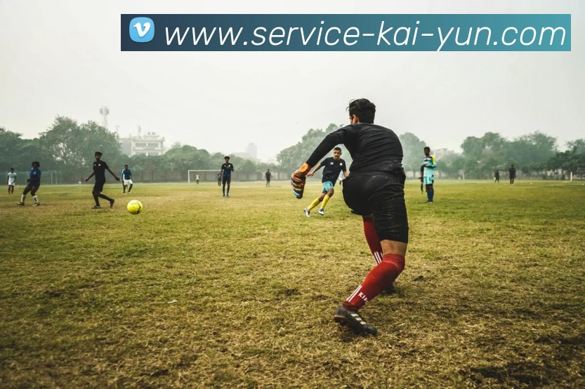 开云平台生态图