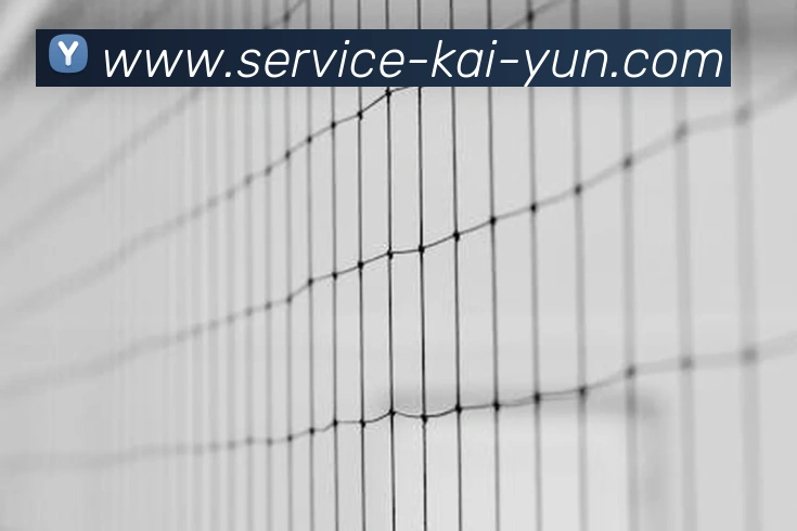 开云APP 高清赛事图